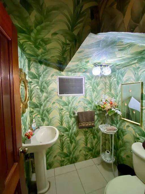 Beautiful Penthouse In La Vega Apartamento